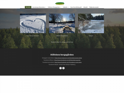 stiftelsenbergagarden.se snapshot