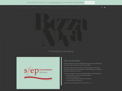 bozzanova.solutions snapshot
