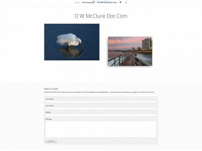 dwmcclure.com snapshot