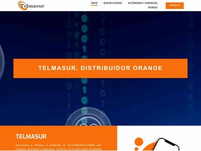 www.telmasur.net snapshot