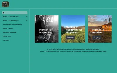 murfinns.at snapshot