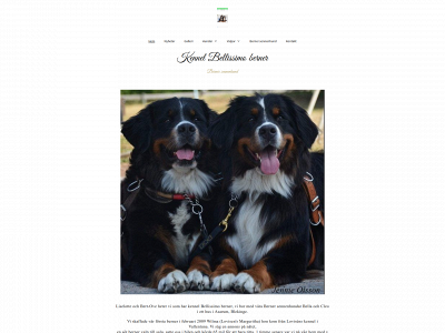 bellissimoberner.se snapshot