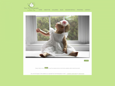 tinyteaphotography.com snapshot