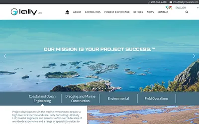 lallyconsulting.com snapshot
