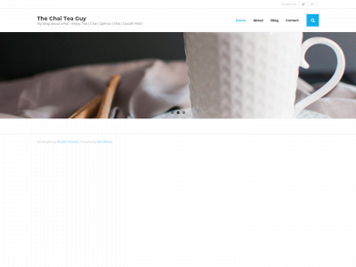 chaiteaguy.com snapshot