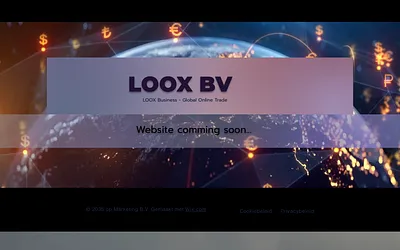 loox.business snapshot