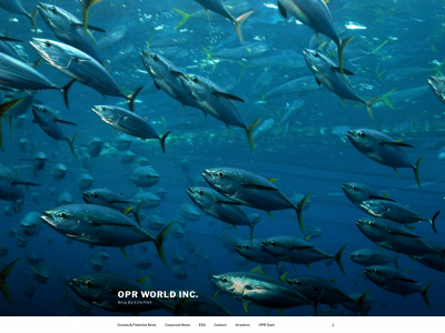 oprworld.com snapshot