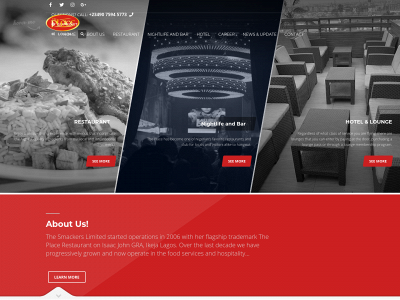 theplace.com.ng snapshot