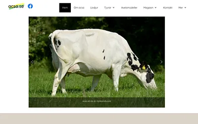 acsa.se snapshot