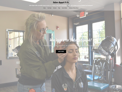 salonagapefrankfort.com snapshot