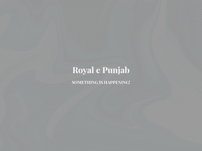 royal-e-punjab.co.uk snapshot