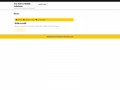 trukleensolutions.com snapshot