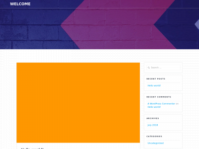 nadiarizvi.com snapshot
