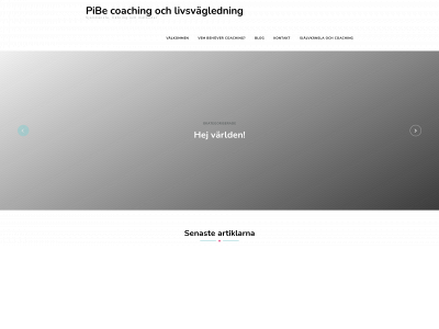 pibecoaching.one snapshot