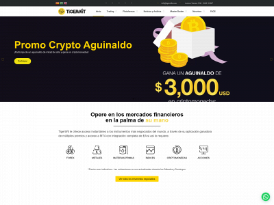 tigerwitla.com snapshot