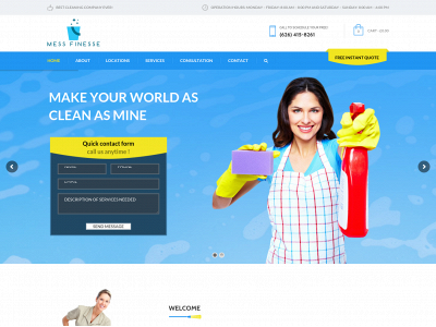 messfinesse.com snapshot