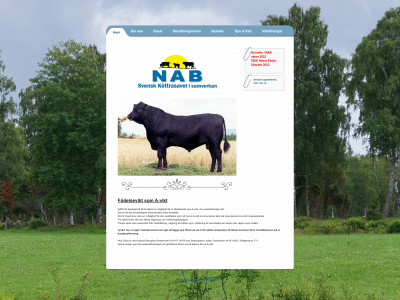 nab-se.se snapshot
