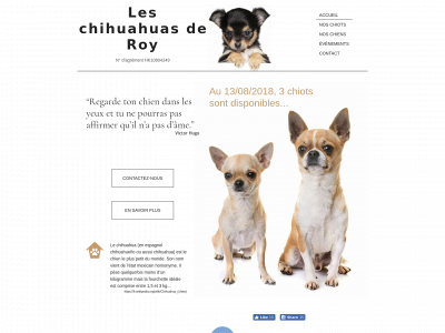 chihuahua-de-roy.be snapshot