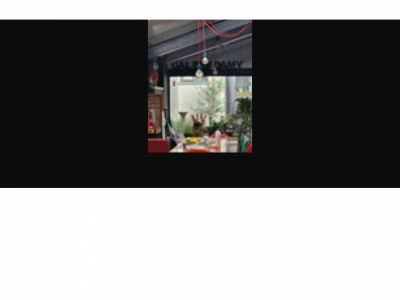 galeriedamy.be snapshot