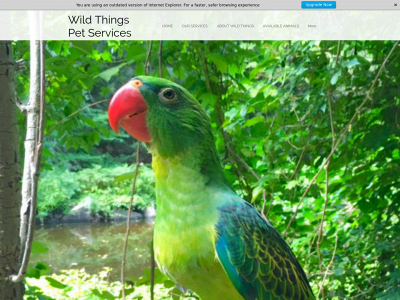 wildthingsps.com snapshot