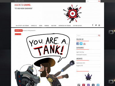agentgamingnetwork.com snapshot