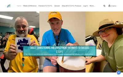 www.stepstx.org snapshot