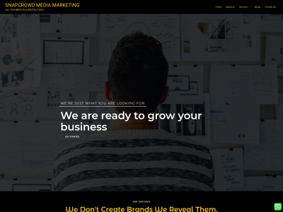 snapcrowdmediamarketing.com snapshot