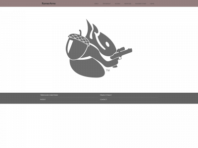 runnerarms.com snapshot