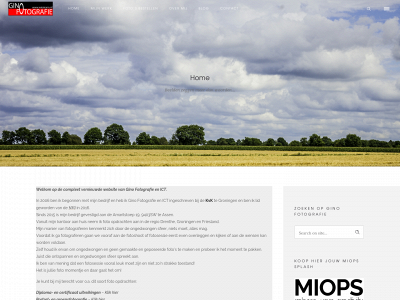 wiemann.nl snapshot