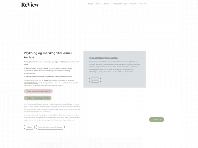 re-view.dk snapshot