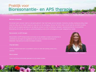 bioresonantiehoogezand.nl snapshot