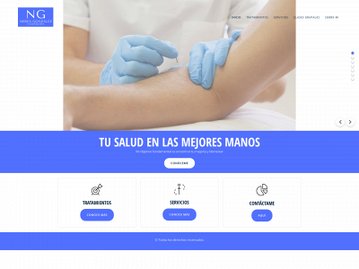nereagonzalezfisioterapia.es snapshot