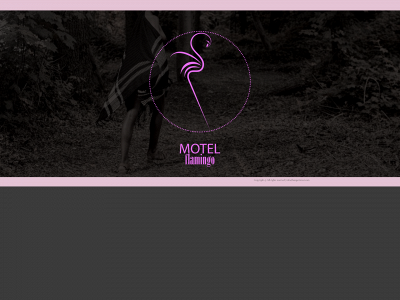 motelflamingo.boutique snapshot