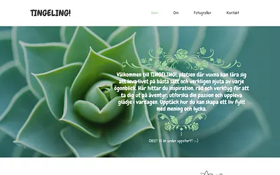 tingeling.one snapshot