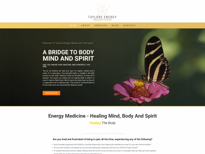 tayloreenergyhealercoach.com snapshot