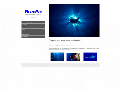 bluepix.se snapshot