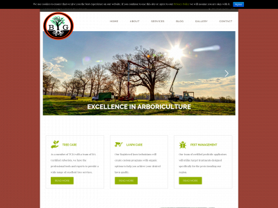 bigotree.com snapshot