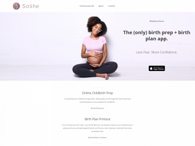 soshe.com snapshot