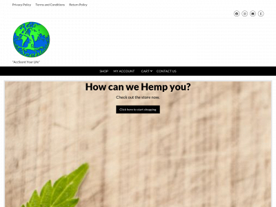 accscentuals.com snapshot