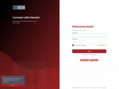 socio.today snapshot