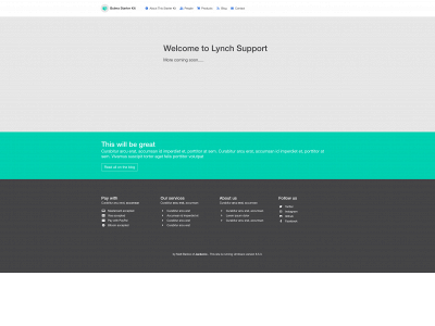 lynchsupport.com snapshot