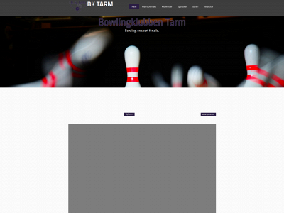 bktarm.dk snapshot