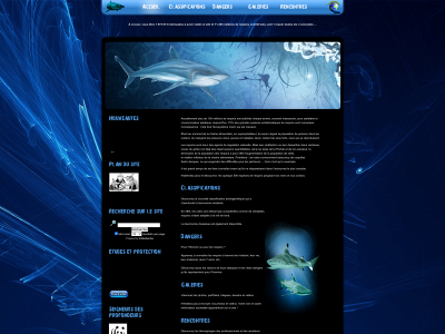 requins.eu snapshot