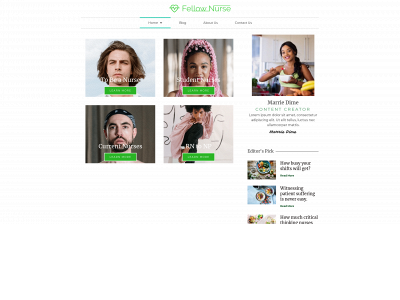 fellownurse.com snapshot