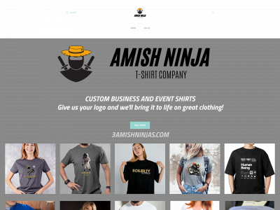 www.3amishninjas.com snapshot