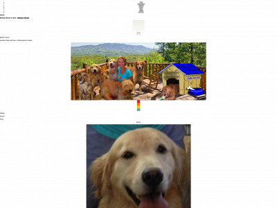 barkleysbunch.com snapshot