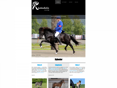 kirstineholmstutteri.dk snapshot