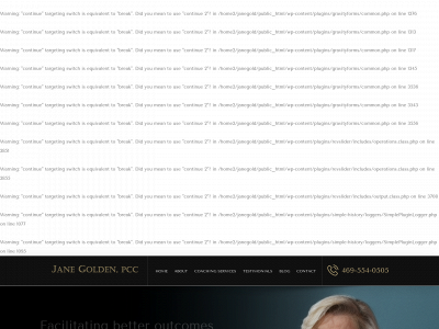 janegoldencoaching.com snapshot