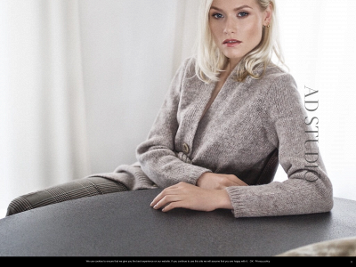 adstudio.lt snapshot