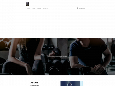 johnny-sinns.co.uk snapshot
